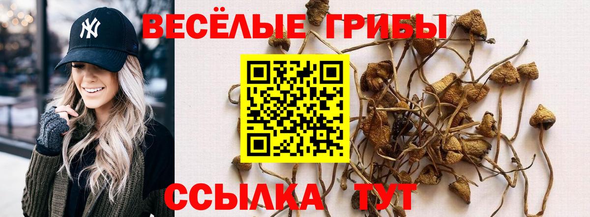 Галлюциногенные грибы Magic Shrooms  Вход с VPN  цена   Похвистнево 